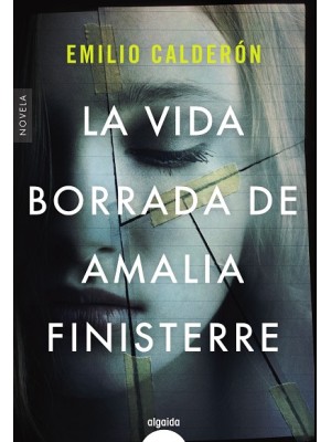 VIDA BORRADA DE AMALIA FINISTERRE, LA