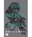 UNA CORTE DE NIEBLA Y FURIA 2 N/E