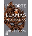 UNA CORTE DE LLAMAS PLATEADAS 5