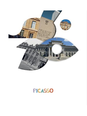 PICASSO PROYECTO ¿LO VES?  5 AÑOS