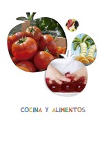 PROYECTO ¿LO VES? - 5 AÑOS : COCINA Y ALIMENTOS