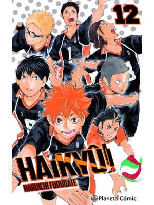 HAIKYÛ!! /12