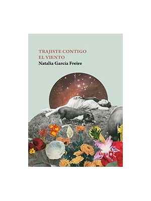 TRAJISTE CONTIGO EL VIENTO