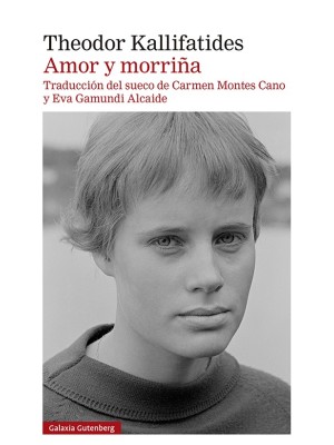 AMOR Y MORRIÑA