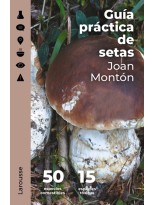 GUÍA PRÁCTICA DE SETAS