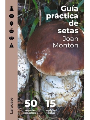 GUÍA PRÁCTICA DE SETAS