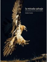 MIRADA SALVAJE