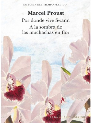 EN BUSCA DEL TIEMPO PERDIDO, VOL. 1