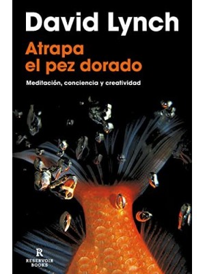 ATRAPA EL PEZ DORADO