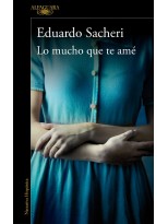 LO MUCHO QUE TE AMÉ