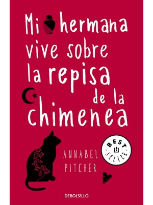 MI HERMANA VIVE SOBRE LA REPISA DE LA CHIMENEA