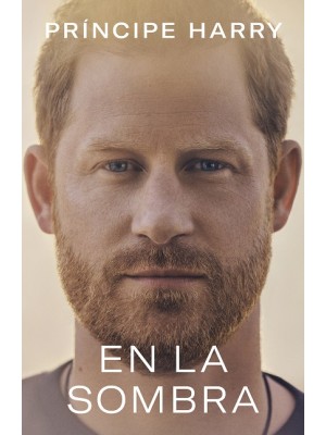 EN LA SOMBRA