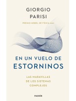 EN UN VUELO DE ESTORNINOS