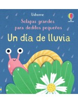 DIA DE LLUVIA, UN
