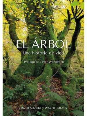 ÁRBOL, EL