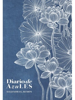 DIARIO DE AZULES