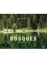 VIAJE VISUAL Y SONORO POR LOS BOSQUES DE ESPAÑA