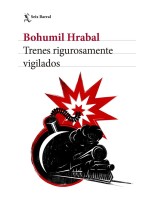 TRENES RIGUROSAMENTE VIGILADOS
