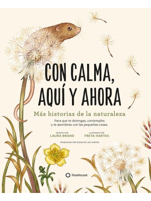 CON CALMA, AQUÍ Y AHORA