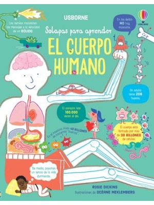 CUERPO HUMANO, EL