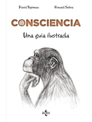CONSCIENCIA