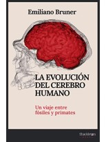 EVOLUCIÓN DEL CEREBRO HUMANO, LA