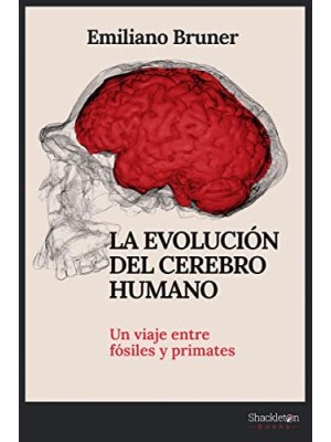 EVOLUCIÓN DEL CEREBRO HUMANO, LA