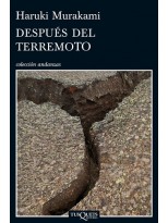 DESPUÉS DEL TERREMOTO