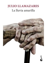 LLUVIA AMARILLA, LA
