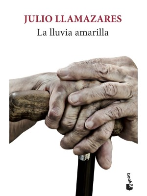 LLUVIA AMARILLA, LA