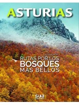 RUTAS POR LOS BOSQUES MÁS BELLOS