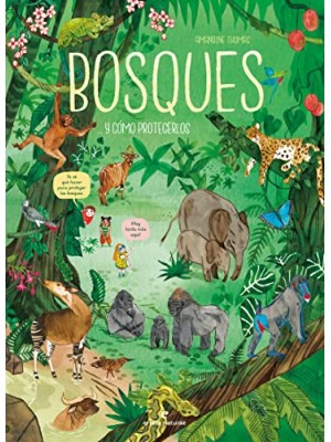 BOSQUES... Y CÓMO PROTEGERLOS