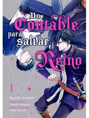 CONTABLE PARA SALVAR EL REINO, VOL. 1
