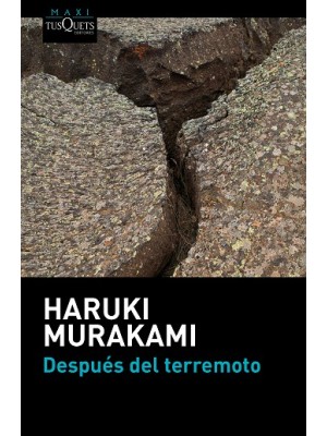 DESPUES DEL TERREMOTO