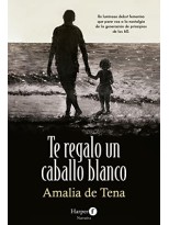 TE REGALO UN CABALLO BLANCO