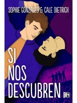 SI NOS DESCUBREN