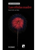CÉLULAS MADRE, LAS