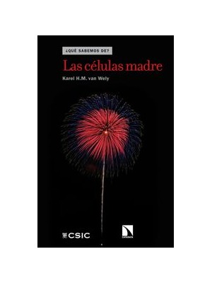 CÉLULAS MADRE, LAS