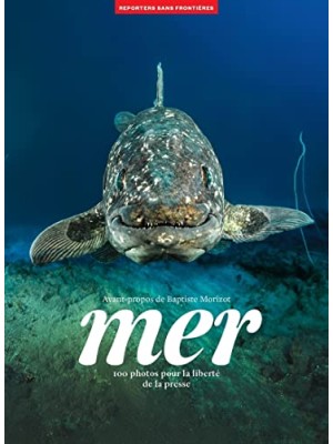 MER