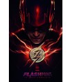 FLASHPOINT - LA SAGA COMPLETA