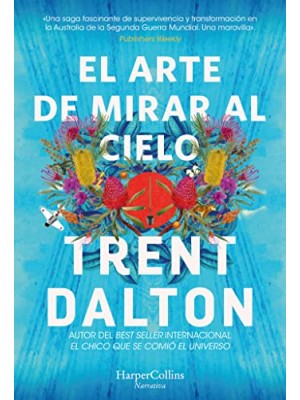 ARTE DE MIRAR AL CIELO, EL