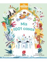MIS 1001 CASAS