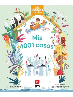 MIS 1001 CASAS