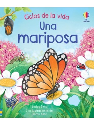 MARIPOSA CICLOS DE LA VIDA