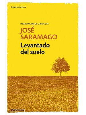 LEVANTADO DEL SUELO