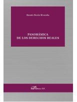 PANORÁMICA DE LOS DERECHOS REALES