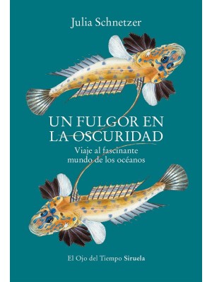 UN FULGOR EN LA OSCURIDAD