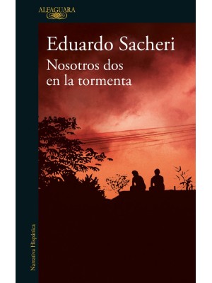 NOSOTROS DOS EN LA TORMENTA
