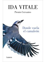 DONDE VUELA EL CAMALEÓN