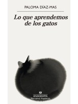 LO QUE APRENDEMOS DE LOS GATOS
